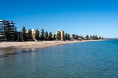 Adelaide, Avustralya 'daki Glenelg Sahili' nde altın kum, berrak mavi sular ve yüksek binaları ve çam ağaçları olan modern bir şehir silueti yer alıyor.