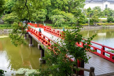 Geleneksel bir kırmızı köprü, Japonya 'nın Osaka kentindeki Tennoji Parkı' ndaki yemyeşil ağaçlarla çevrili Kawazokoike gölünün yeşil sularını geçer.