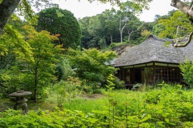Japonya 'nın Kamakura kentindeki Jochi-ji Tapınağı' nın sazdan çatı salonunu çevreleyen sakin bir bahçe doğayı geleneksel ahşap mimari ve taş fenerlerle harmanlıyor.