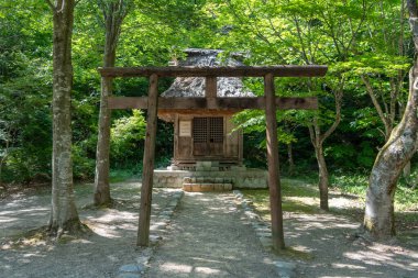 Barışçıl bir yol, Japonya 'nın Shirakawa-go kentindeki ağaçların arasına yerleştirilmiş kırsal bir torii kapısı olan geleneksel bir ahşap tapınağa götürür.