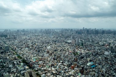Tokyo 'nun geniş bir hava perspektifi yoğun bir şehir manzarasını gözler önüne seriyor, nehirler, köprüler ve puslu ufka doğru uzanan sayısız binalar.