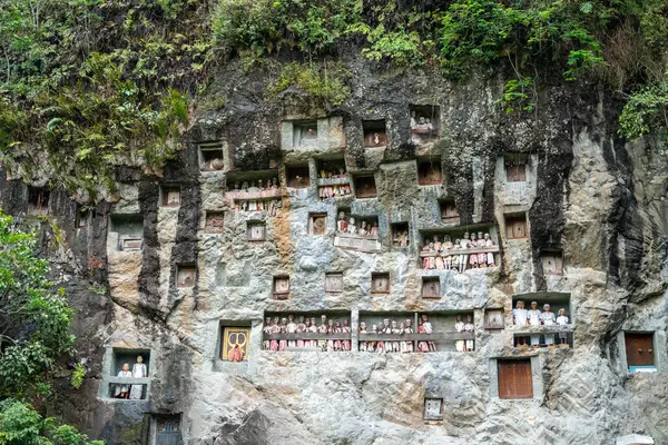 Lemo 'nun kayalıklarında oyulmuş mezarları ve Tau Tau heykelleri olan, Sulawesi' deki yemyeşil pirinç tarlalarıyla çevrili geleneksel bir mezarlık.