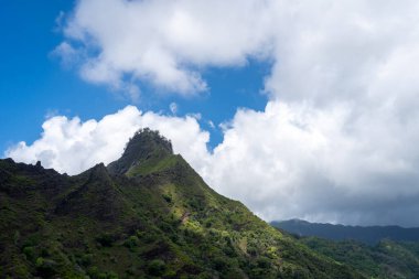 Hiva Oa, Marquesas Adaları, Fransız Polinezyası 'ndaki Puamau yolu boyunca uzanan dağlık arazi engebeli zirveleri ve derin vadileriyle yoğun tropikal bitki örtüsüyle kaplıdır.
