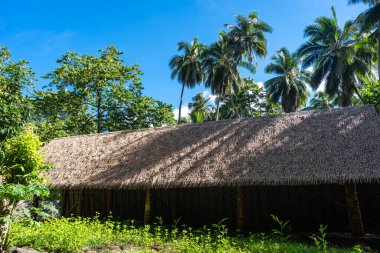 Geleneksel sazdan çatılı bir yapı, Kamuihei 'deki antik taş kalıntıları arasında duruyor, Nuku Hiva. Bu Polinezya miras alanı yemyeşil tropikal bitki örtüsüyle çevrilidir. Fransız Polinezyası