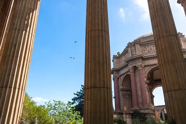 San Francisco 'daki Güzel Sanatlar Sarayı, klasik sütunları olan bir mimari başyapıt, yemyeşil ile çevrilidir.