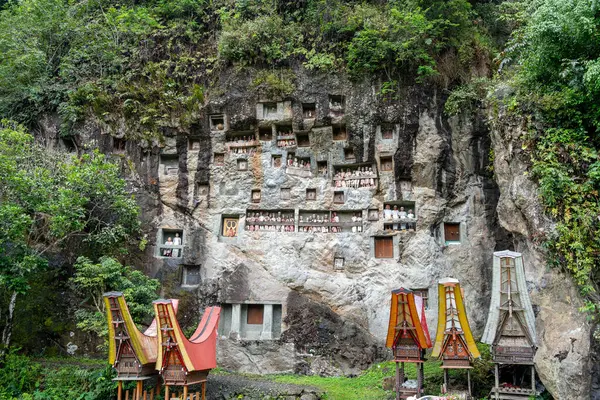 Lemo 'nun kayalıklarında oyulmuş mezarları ve Tau Tau heykelleri olan, Sulawesi' deki yemyeşil pirinç tarlalarıyla çevrili geleneksel bir mezarlık.