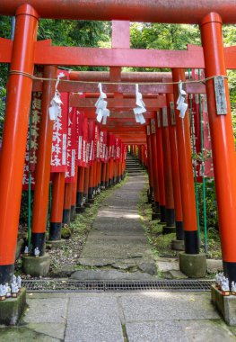 Japonya 'nın Kamakura kentindeki Sasuke İnari-jinja ormanında kırmızı torii kapıları ve dalgalanan sancaklar huzurlu bir yol çiziyor.