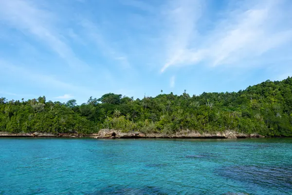 Waleakodi Adası 'ndaki beyaz kumlu ve yemyeşil ormanlı Lia sahilleri göz alıcı Togian takımadalarının bir parçası, Sulawesi, Endonezya