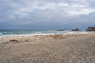 Avustralya, Kanguru Adası 'ndaki Seal Bay Koruma Parkı' nın kumlu sahilinde birkaç fok balığı bulunur.