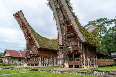 Bufalo boynuzlarıyla süslenmiş Tongkonan evleri Sulawesi, Endonezya 'daki Toraja halkının atalarının geleneklerini ve kültürel zenginliklerini temsil ediyor.