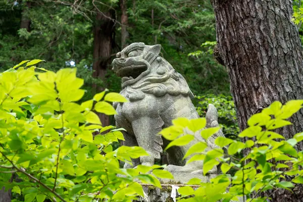 Japonya 'nın huzurlu kasabası Takayama' daki Shinmei Tapınağı 'nın girişinde orman tepe örtüsünün altında nöbet tutan taş komanu aslan köpek heykeli.