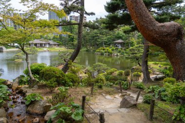 Bereketli ağaçlar, yansıtıcı bir gölet ve manikürlü yeşillik Japonya 'nın Hiroşima şehrinde huzurlu bir tarihi manzara olan Shukkei-en bahçesini dolduruyor.