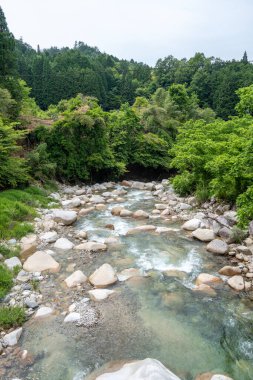 Magome ve Tsumago arasındaki tarihi Nakasendo patikasının yanındaki yemyeşil yemyeşil sularda huzurlu ve doğal bir ortam sunan huzurlu bir dere.
