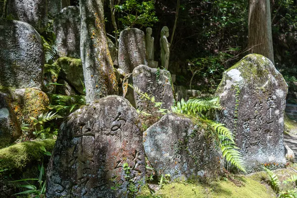 Japonya 'nın Hiroşima kentindeki Mitaki-Dera tapınağındaki heykellerin yanında, yosun kaplı ve orman bitkileriyle çevrili antik oyma taşlar duruyor.