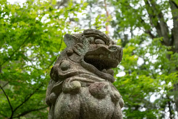 Japonya 'nın huzurlu kasabası Takayama' daki Shinmei Tapınağı 'nın girişinde orman tepe örtüsünün altında nöbet tutan taş komanu aslan köpek heykeli.