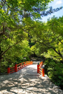 Hiroşima yakınlarındaki Miyajima Adası 'nda gölgeli bir orman yolundan geçen barışçıl bir kırmızı köprü mimariyle doğayı mükemmel bir uyum içinde harmanlıyor.
