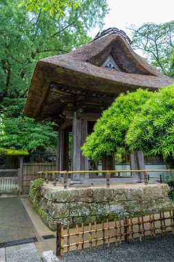 Japonya 'nın Kamakura kentindeki Hokoku-ji tapınağında, yeşil bambu, ağaçlar ve yosun kaplı taş temellerle çevrili bir çatı kulesi.