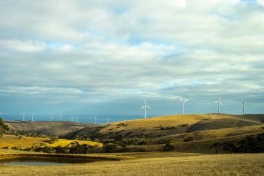 Rüzgar türbinleri, bulutlu bir gökyüzünün altında Avustralya 'nın Jervis Burnu yakınlarındaki yuvarlanan tepelerde duruyor. Kuru arazi, modern yenilenebilir enerji teknolojisiyle çelişiyor.
