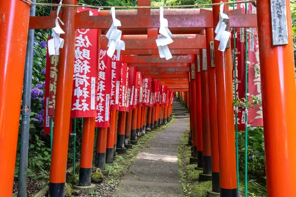 Japonya 'nın Kamakura kentindeki Sasuke İnari-jinja ormanında kırmızı torii kapıları ve dalgalanan sancaklar huzurlu bir yol çiziyor.