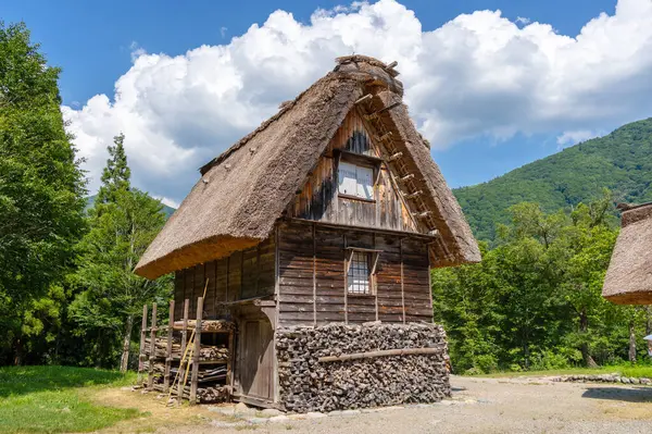Yeşil tepelerle çevrili Shirakawa-go 'daki sazdan çatı Japonya' nın kırsal çekiciliğini ve doğayla uyumlu ilişkisini yansıtıyor.