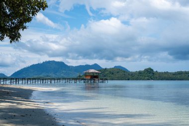 Bolilanga Adası 'nda palmiye ağaçları, Togian takımadaları, Sulawesi, Endonezya' da sakin turkuaz suları ve ahşap bir iskelesi olan huzurlu, kumlu bir sahil.