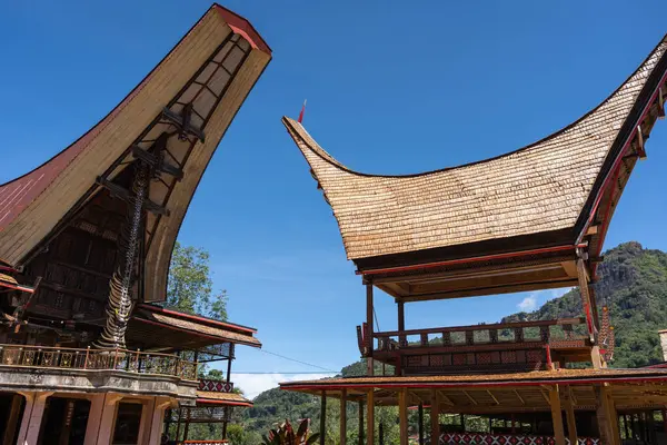 Geleneksel Toraja köyü Endonezya, Sulawesi 'de yemyeşil dağlarla çevrili parlak mavi gökyüzü altında ikonik tongkonan evler
