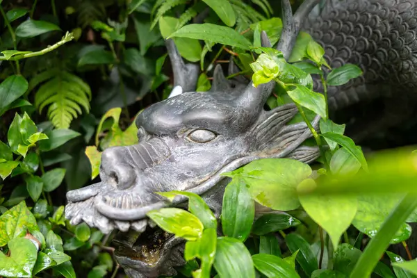 Japonya 'nın Enoshima Adası' ndaki yemyeşil yemyeşil yapraklardan bir bronz ejderha çeşmesi çıkar. Açık ağzından yavaşça su akar.