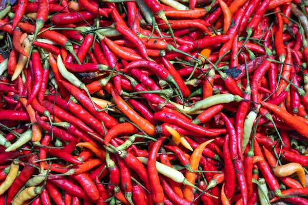 Rantepao 'daki Bolu pazarında satılık parlak kırmızı ve turuncu biberler, Toraja, Sulawesi, Endonezya' da canlı bir ticaret noktası.