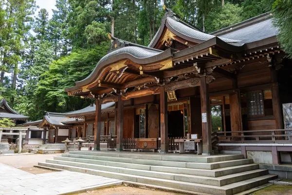 Japonya 'nın Takayama kentindeki Sakurayama Hachimangu Tapınağı' nın geleneksel ahşap yapıları sakin bir orman atmosferindeki yüksek yeşil ağaçların arasında huzur içinde dururlar.