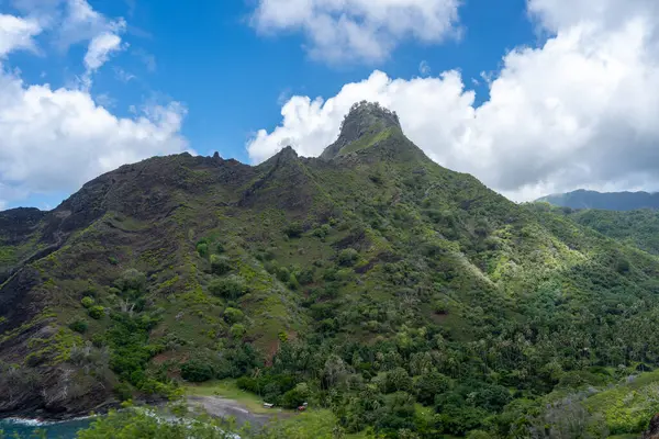 Hiva Oa, Marquesas Adaları, Fransız Polinezyası 'ndaki Puamau yolu boyunca uzanan dağlık arazi engebeli zirveleri ve derin vadileriyle yoğun tropikal bitki örtüsüyle kaplıdır.