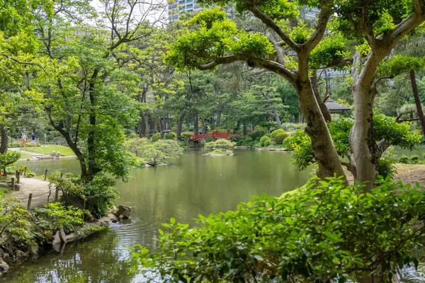 Şık geleneksel köprüler, Japonya 'nın Hiroşima şehrinin göletine kurulmuş sakin bir Japon bahçesi olan Shukkei-en' de sakin bir göleti geçiyor.