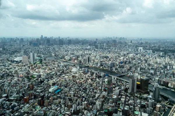 Tokyo 'nun geniş bir hava perspektifi yoğun bir şehir manzarasını gözler önüne seriyor, nehirler, köprüler ve puslu ufka doğru uzanan sayısız binalar.