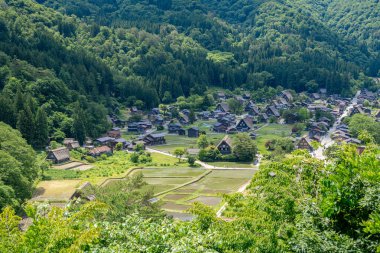 Shirakawa-go 'nun manzaralı köyü, geleneksel gthe-zukuri evleri ve huzurlu kırsal yaşam barındıran yemyeşil dağlara yuva yapmış durumda. Japonya