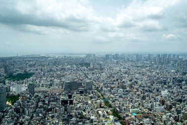 Tokyo 'nun geniş bir hava perspektifi yoğun bir şehir manzarasını gözler önüne seriyor, nehirler, köprüler ve puslu ufka doğru uzanan sayısız binalar.