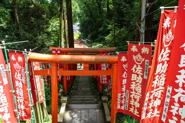 Japonya 'nın Kamakura kentindeki Sasuke İnari-jinja ormanında kırmızı torii kapıları ve dalgalanan sancaklar huzurlu bir yol çiziyor.
