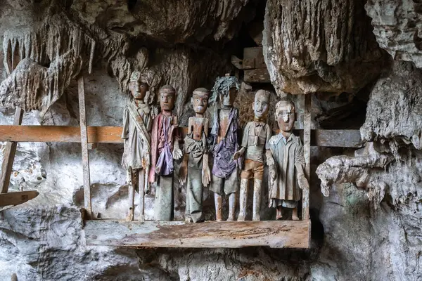 Tahta Tau Tau heykelleri, Endonezya 'nın Sulawesi bölgesindeki Lemo Toraja bölgesindeki bir kireçtaşı mağarasında kutsal bir şekilde duruyor.