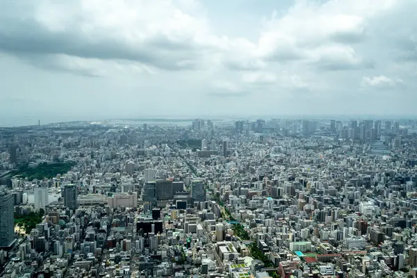 Tokyo 'nun geniş bir hava perspektifi yoğun bir şehir manzarasını gözler önüne seriyor, nehirler, köprüler ve puslu ufka doğru uzanan sayısız binalar.