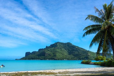 Palmiye ağaçlarıyla kaplı el değmemiş bir sahilden Maupiti Adası 'nın göz kamaştırıcı manzarası Fransız Polinezyası' nda turkuaz suları ve yemyeşil bir manzara sunuyor.