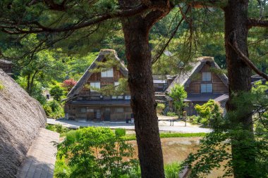 Yeşil tepelerle çevrili Shirakawa-go 'daki sazdan çatı Japonya' nın kırsal çekiciliğini ve doğayla uyumlu ilişkisini yansıtıyor.