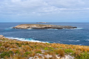 Flinders Chase Ulusal Parkı, Kanguru Adası, Avustralya 'daki Cape Du Couedic' te görülen Casuarina Adası 'nda kayalık kıyılar, mavi okyanus, kıyı bitkileri ve uzak ve vahşi bir arazide engebeli uçurumlar yer almaktadır.