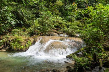 Berrak su, Tentena, Sulawesi, Endonezya yakınlarındaki yağmur ormanlarındaki yemyeşil tropikal bitki örtüsüyle çevrili kayaların üzerinden akar ve barışçıl bir atmosfer yaratır.