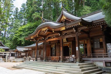 Japonya 'nın Takayama kentindeki Sakurayama Hachimangu Tapınağı' nın geleneksel ahşap yapıları sakin bir orman atmosferindeki yüksek yeşil ağaçların arasında huzur içinde dururlar.