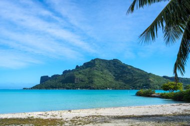Palmiye ağaçlarıyla kaplı el değmemiş bir sahilden Maupiti Adası 'nın göz kamaştırıcı manzarası Fransız Polinezyası' nda turkuaz suları ve yemyeşil bir manzara sunuyor.