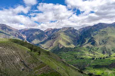 Çarpıcı bir Colca Kanyonu manzarası dramatik uçurumlar, yemyeşil yemyeşil ve açık mavi bir gökyüzü.