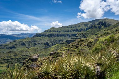 Peru 'daki Waqrapukara bölgesinde dramatik kaya oluşumları, yeşil vadiler ve dik uçurumlar yer almakta, And dağlarının parlak mavi gökyüzü altında nefes kesen manzaraları sunmaktadır.