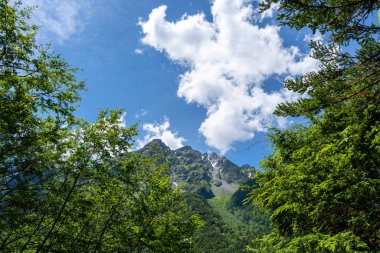 Hotaka Dağı, Japonya 'daki barışçıl Kamikochi yürüyüş yolu boyunca açık mavi gökyüzü altında canlı dağların ve sık ormanların üzerinde yükselir.