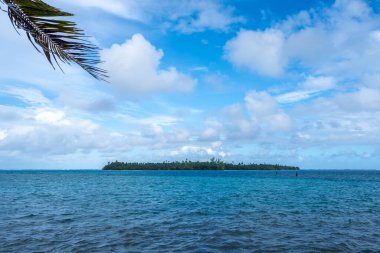 Fransız Polinezyası 'nın Huahine kıyısında yer alan Motu Araara, kristal berrak mavi sular ve tropikal manzaralarla çevrili yemyeşil bir adadır.