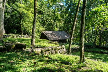 Geleneksel sazdan çatılı bir yapı, Kamuihei 'deki antik taş kalıntıları arasında duruyor, Nuku Hiva. Bu Polinezya miras alanı yemyeşil tropikal bitki örtüsüyle çevrilidir. Fransız Polinezyası