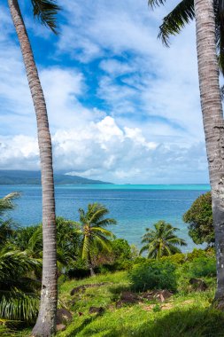 Ön planda palmiye ağaçları olan Raiatea Adası 'nın nefes kesici bir görüntüsü, Fransız Polinezyası' ndaki Tahaa 'dan çekilmiş, sakin bir tropikal manzara sunuyor.