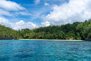 Endonezya, Sulawesi 'deki Togian Adaları' nda, mavi gökyüzünün altında palmiye ağaçlarıyla kaplı çarpıcı beyaz bir kumsal.